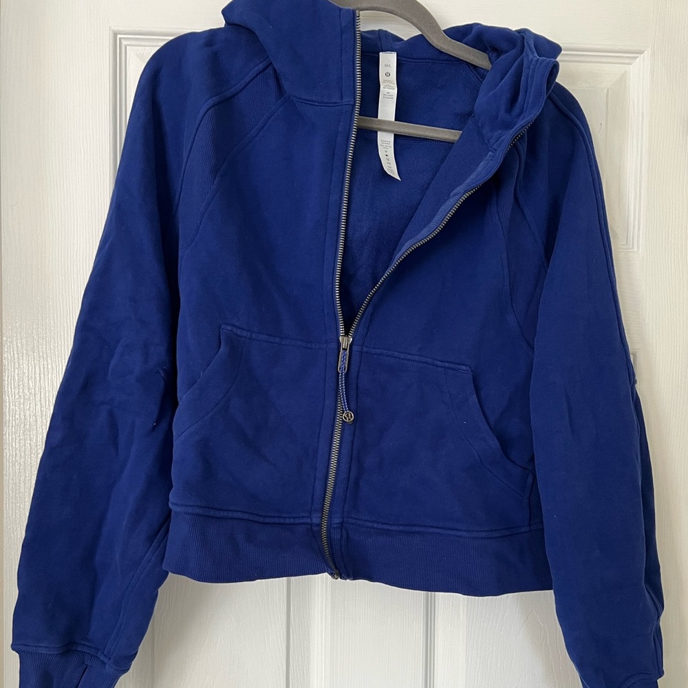 Scuba full zip larkspur